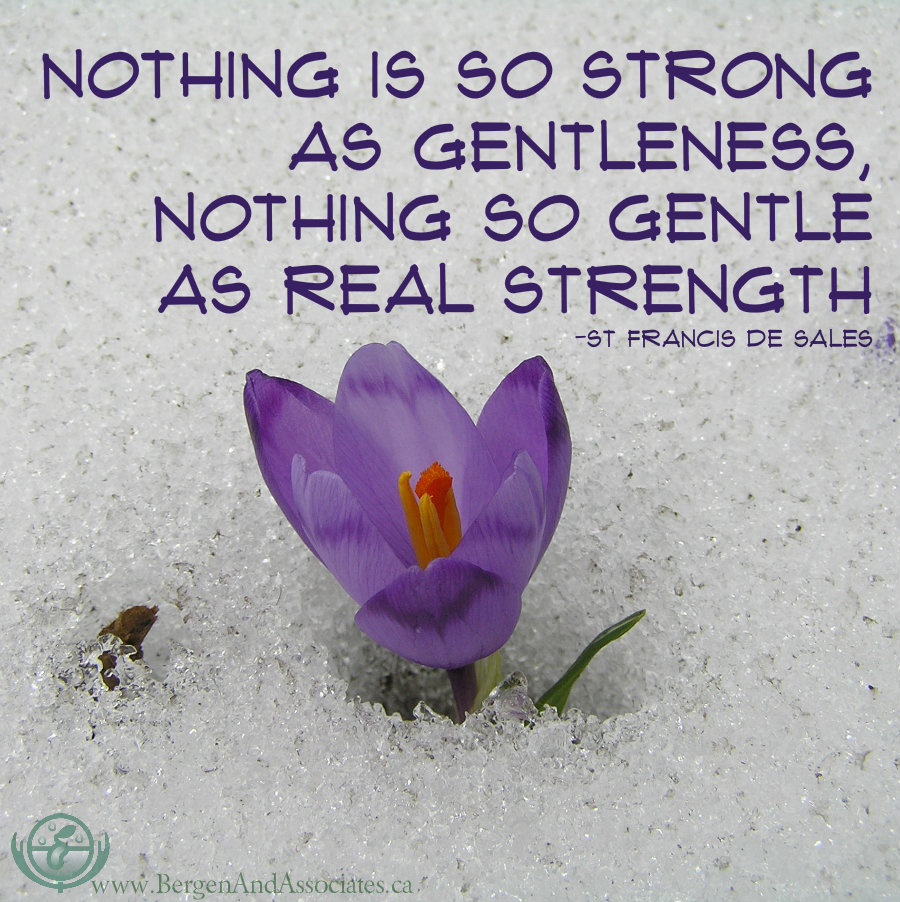 Nothing is so strong as gentleness, nothing so gentle as real strength poster